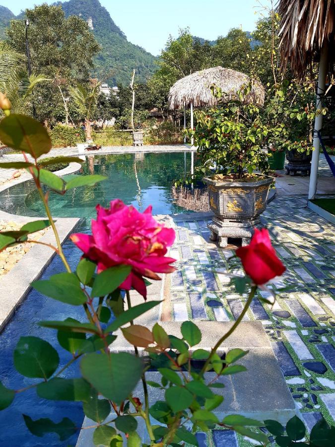 Phong Nha Bolero Bungalow Extérieur photo